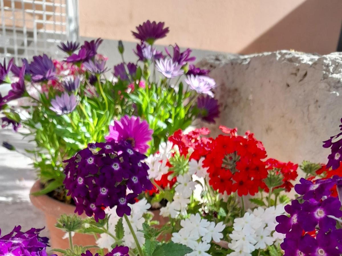 Bed and Breakfast Su Fassoi Cabras Exterior foto