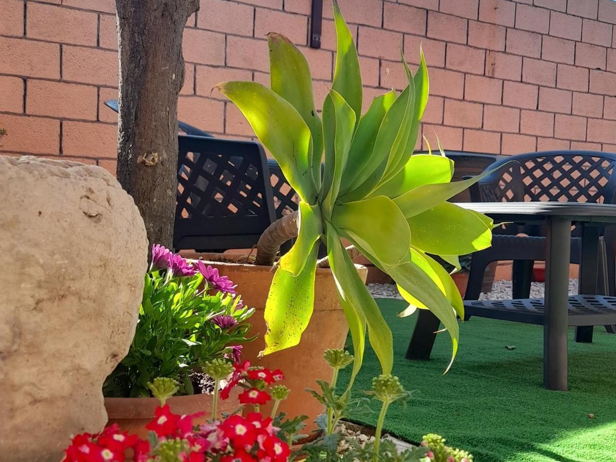 Bed and Breakfast Su Fassoi Cabras Exterior foto